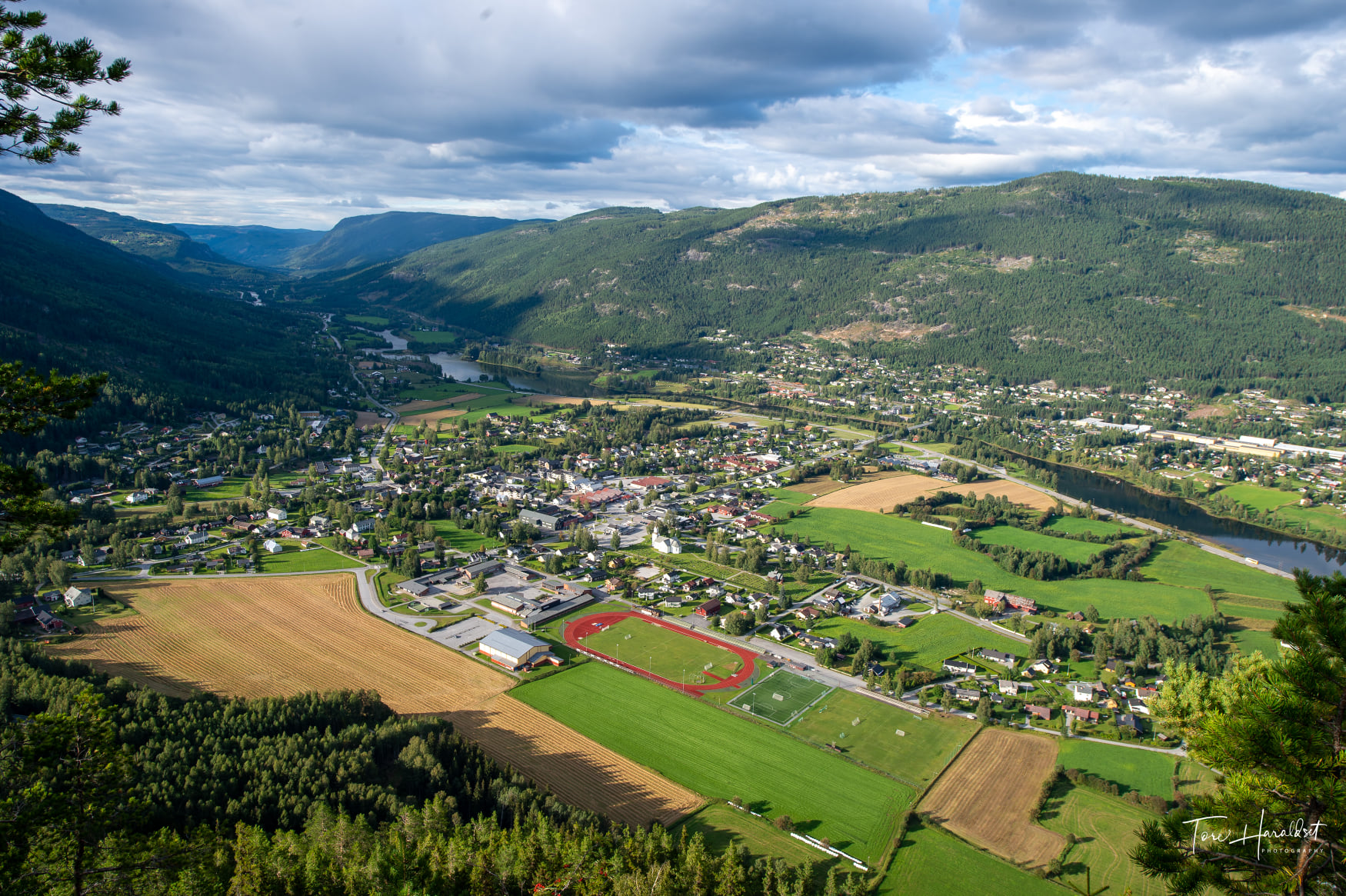 Penger som ligger i fem hauger